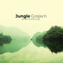 Jungle Groov'n