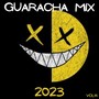 GUARACHA MIX 2023 VOL.14