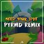 Need Your Love (Remix)