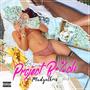 Project ***** (Explicit)