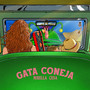 Gata Coneja