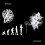 BIPXLAR (Explicit)