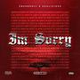 I'm Sorry, Pt. 2 (Explicit)