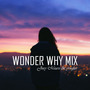 Wonder Why Mix