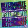 DETERMINATE (Live Version)