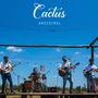 Cactus (En vivo)