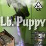 Lb. PUPPY (Explicit)