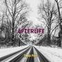 Afterlife