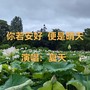 你若安好，便是晴天（莲乡歌手演唱版）