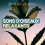 Sons D'oiseaux Relaxants