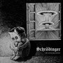 Transgresión