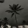 #island (Explicit)