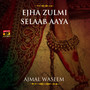 Ejha Zulmi Selaab Aaya