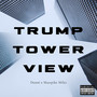 Trump Tower View (Explicit)