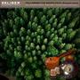 Following the Green Path (Handpan, Tabla, Veena, Synth, Natural soundscapes) [feat. Krutarth Shitut & Tabla 256]