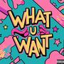 WHAT U WANT (Explicit)