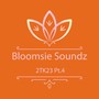 Bloomsie Soundz 2TK23, Pt. 4