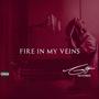 Fire In My Veins (Explicit)