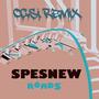 Roads (feat. Spesnew) [Ocsi Remix]