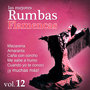 Las Mejores Rumbas Volumen 12