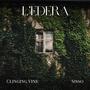 L'EDERA (Clinging Vine)