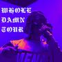 whole damn tour (Explicit)