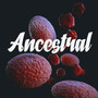 Ancestral