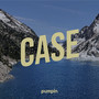 Case (Explicit)