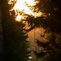 First Sunlight