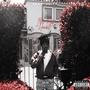I'll Be Honest (Explicit)