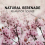 Natural Serenade – Relaxation Sounds, Gentle Meditation, Healing Music for Peace & Harmony, Spiritual Experience