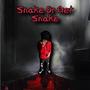 Snake Or Get Snake (Explicit)