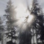 Самый грустный рэпер