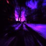 Lyfestyle 2 (Explicit)