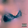 Corpiños (Explicit)