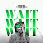 Wait (Explicit)