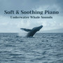 Soft & Soothing Piano - Underwater Whale Sounds