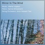 Mirror in the Wind