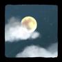 Night