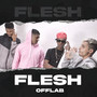 FLESH (Explicit)