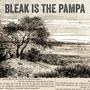 Bleak is the Pampa