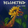 Helianthus