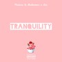 NATURE'S TRANQUILITY (Explicit)