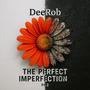 The Perfect Imperfection, Pt. 2 (Explicit)