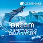 Dream, lo spettacolo della natura (colonna sonora originale del musical)
