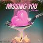 Missing You (Explicit)