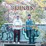 Bridges (feat. $moN) [Explicit]