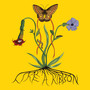 Like A Ribbon (Explicit)