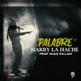 Palabre (feat. Harry la Hache & Mad Killah) [Explicit]