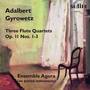 Adalbert Gyrowetz: Flute Quartets, Op. 11, Nos. 1-3